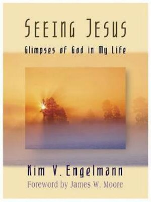 cover image of Seeing Jesus
